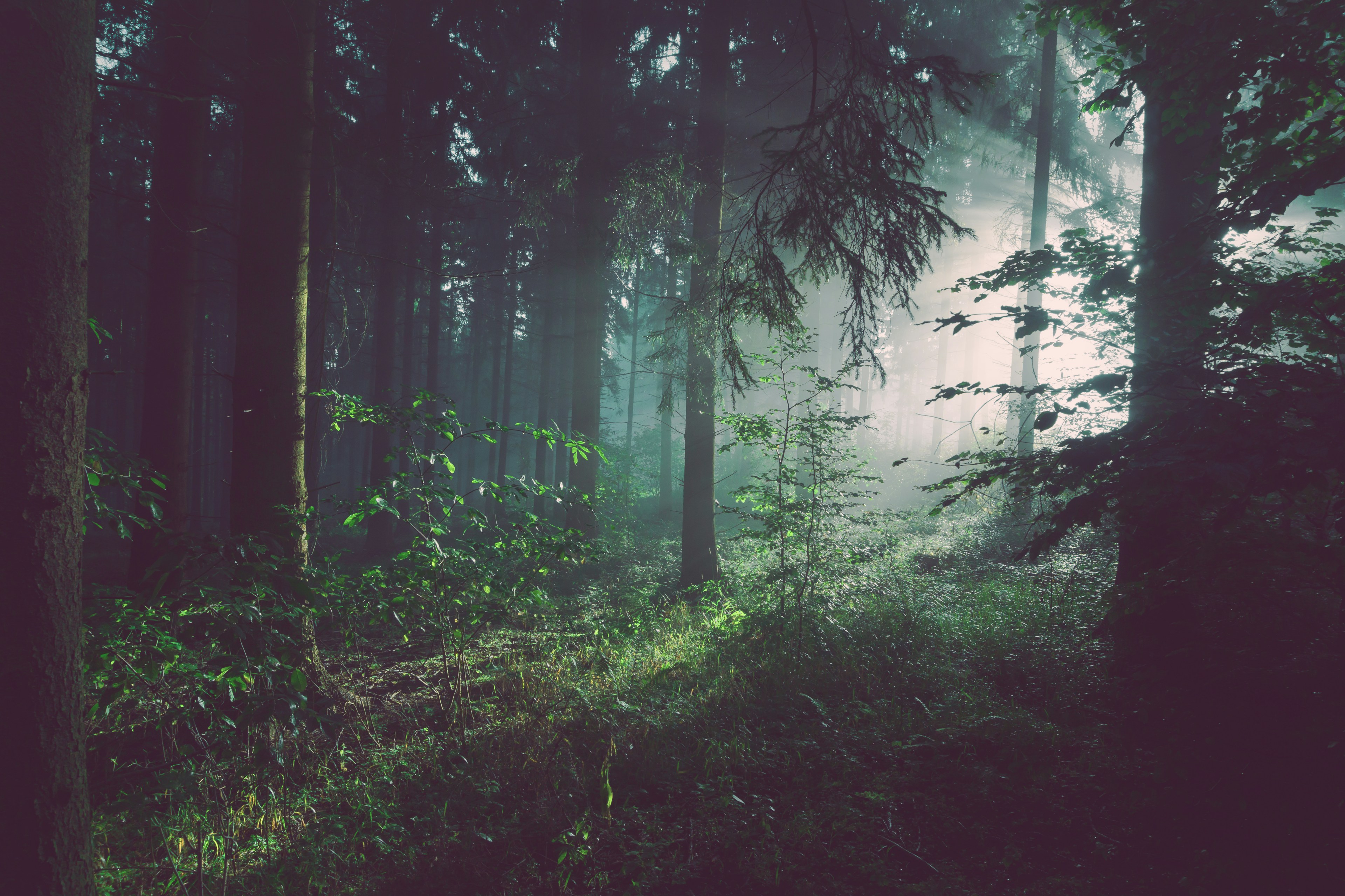Hinterland