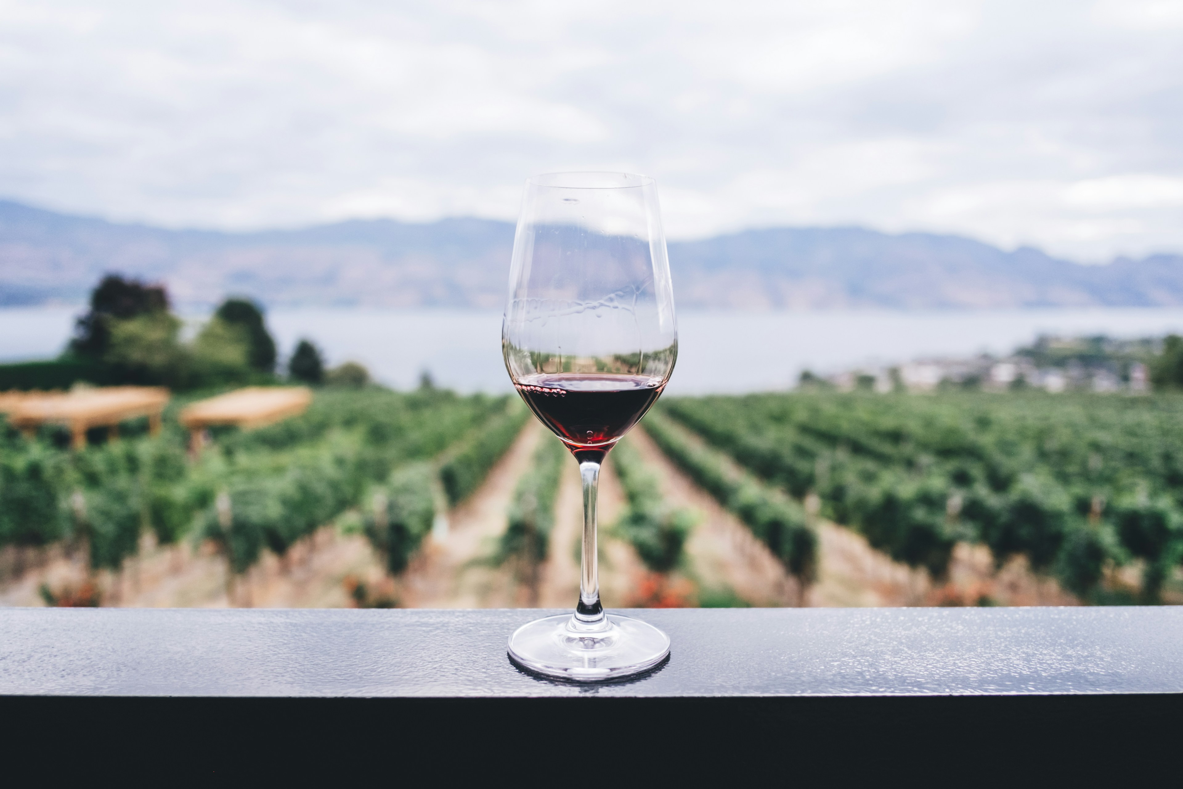 Barossa Valley