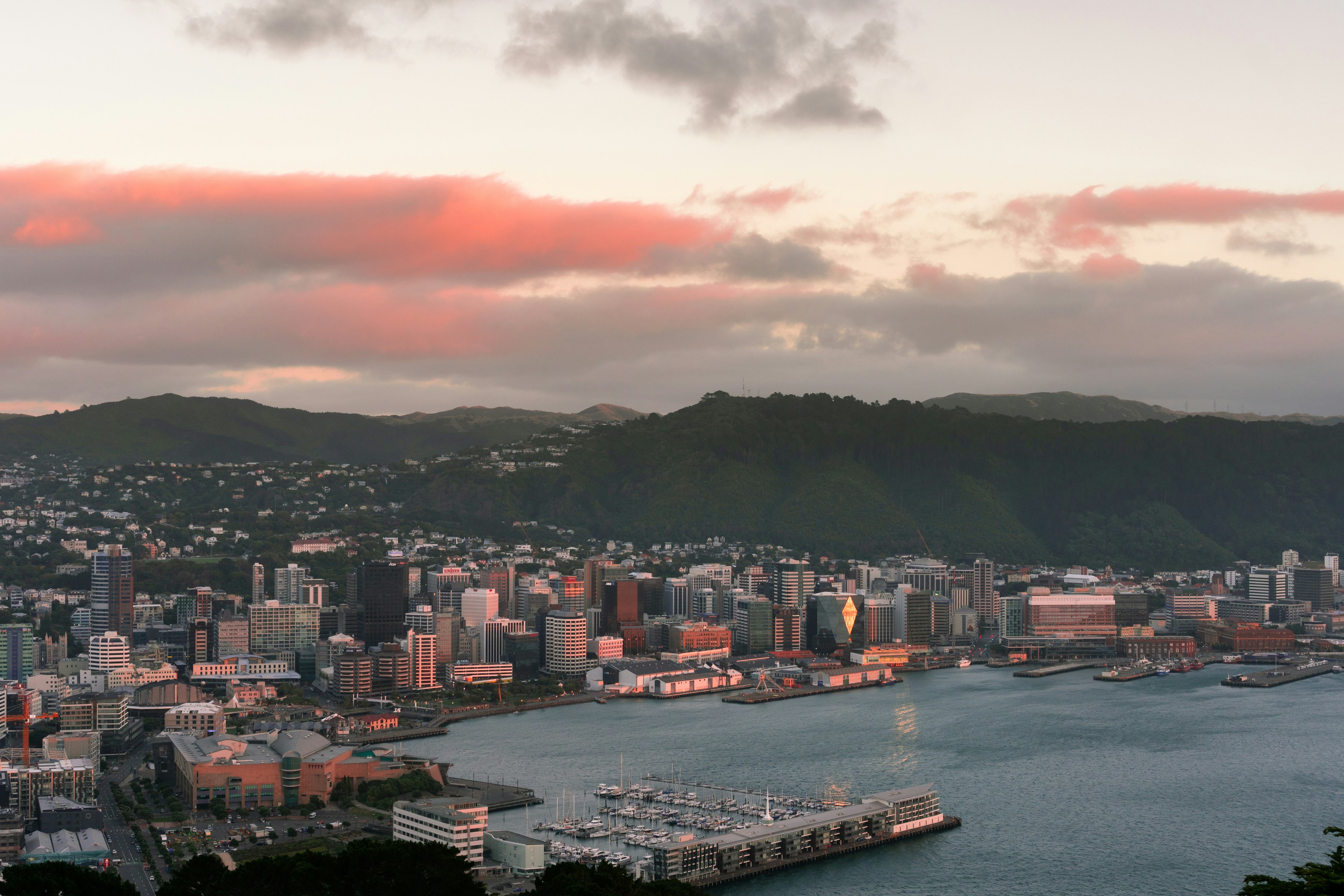 Wellington